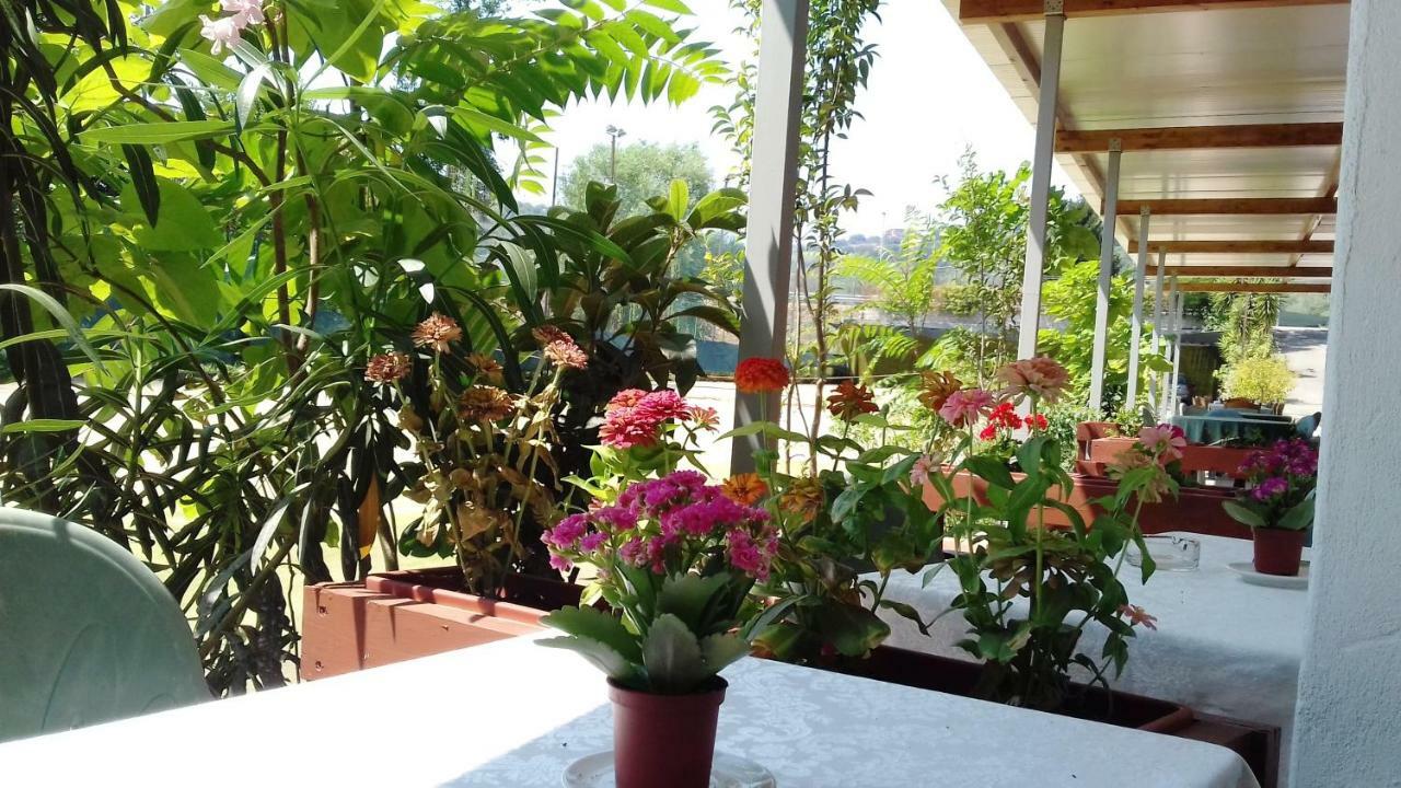 パリヌロ A Casa Di Nene Bed & Breakfast エクステリア 写真