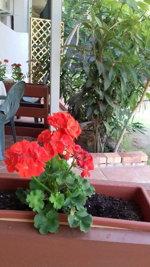 パリヌロ A Casa Di Nene Bed & Breakfast エクステリア 写真